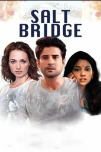 salt bridge 2019