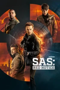 sas red notice 2021
