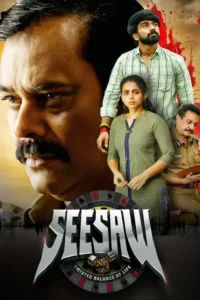 see saw 2025