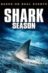 shark season 2020
