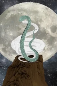 snakes 2 2019