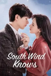 south wind knows season 1