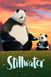 stillwater 2020