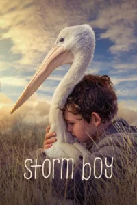 storm boy 2019