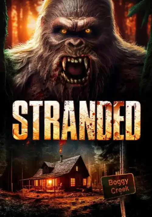 stranded 2023