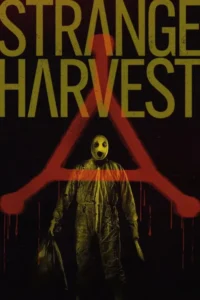strange harvest 2024