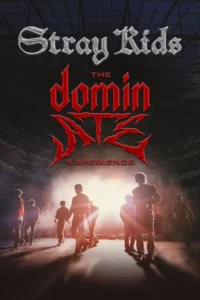 stray kids the dominate experience 2026