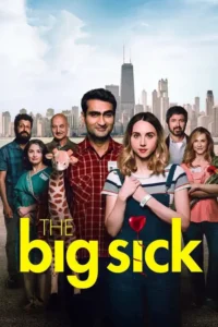the big sick 2017