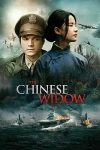 the chinese widow 2017