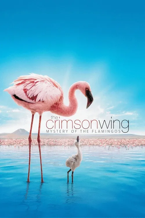 the crimson wing 2008
