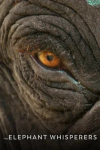 the elephant whisperers 2022