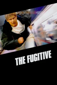 the fugitive 1993