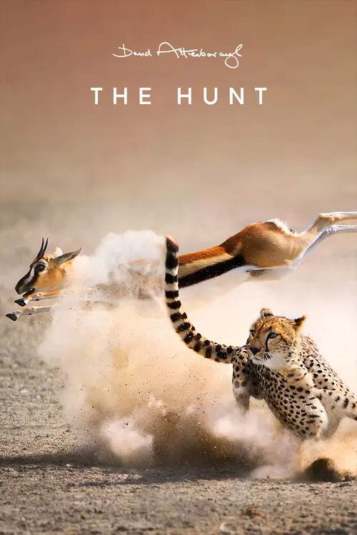 the hunt 2015
