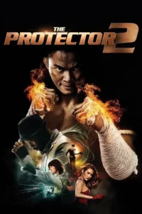 the protector 2 2013