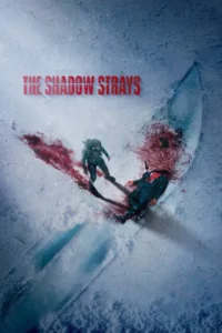 the shadow strays netflix original 2024