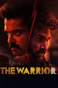 the warriorr 2022