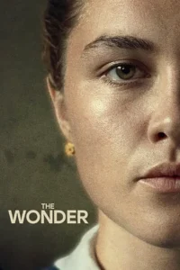 the wonder netflix original 2022