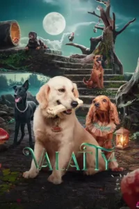 valatty 2023