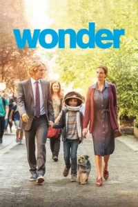 wonder 2017