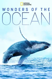 wonders of the ocean 2021