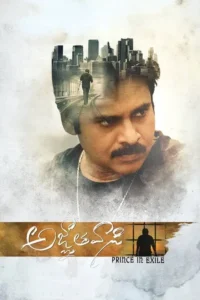 yevadu 3 agnyaathavaasi 2018